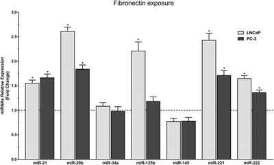 Fibronectin Modulates the Expression of miRNAs in Prostate Cancer Cell Lines